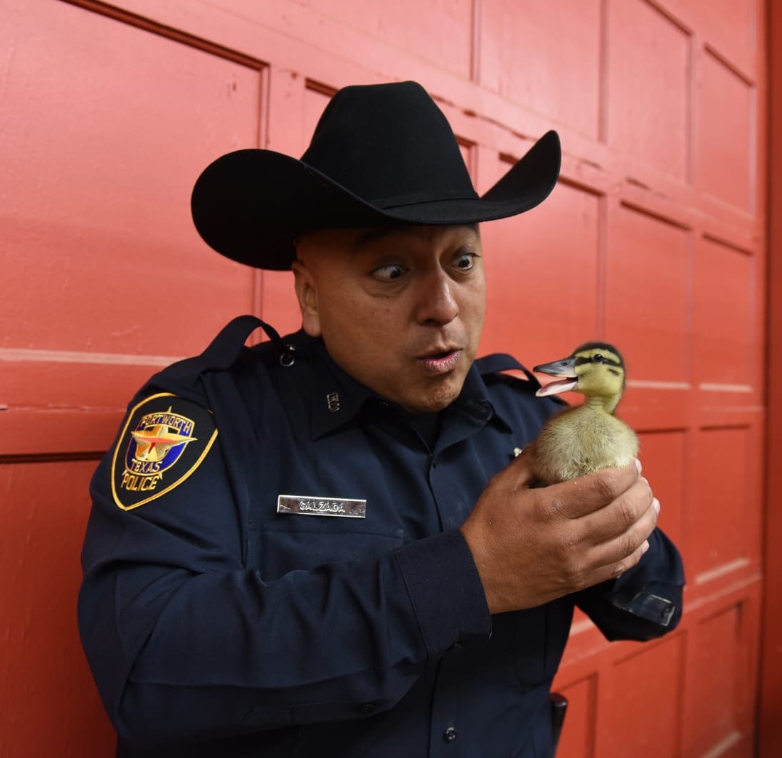 Fort Worth Police On Twitter GoodMorning Fort Worth What Time Does fort-worth-police-on-twitter-goodmorning-fort-worth-what-time-does