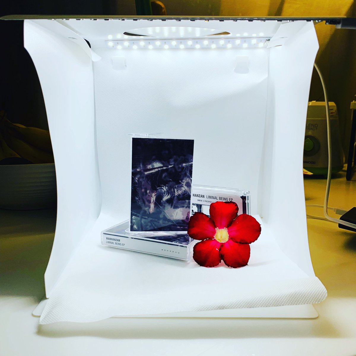 Botanic_Records's tweet photo. wanhanzan tapes - now shipping via https://t.co/0awfXA4kWJ and @Bandcamp. Don’t sleep 🌺 https://t.co/RNUYEv8XOy
