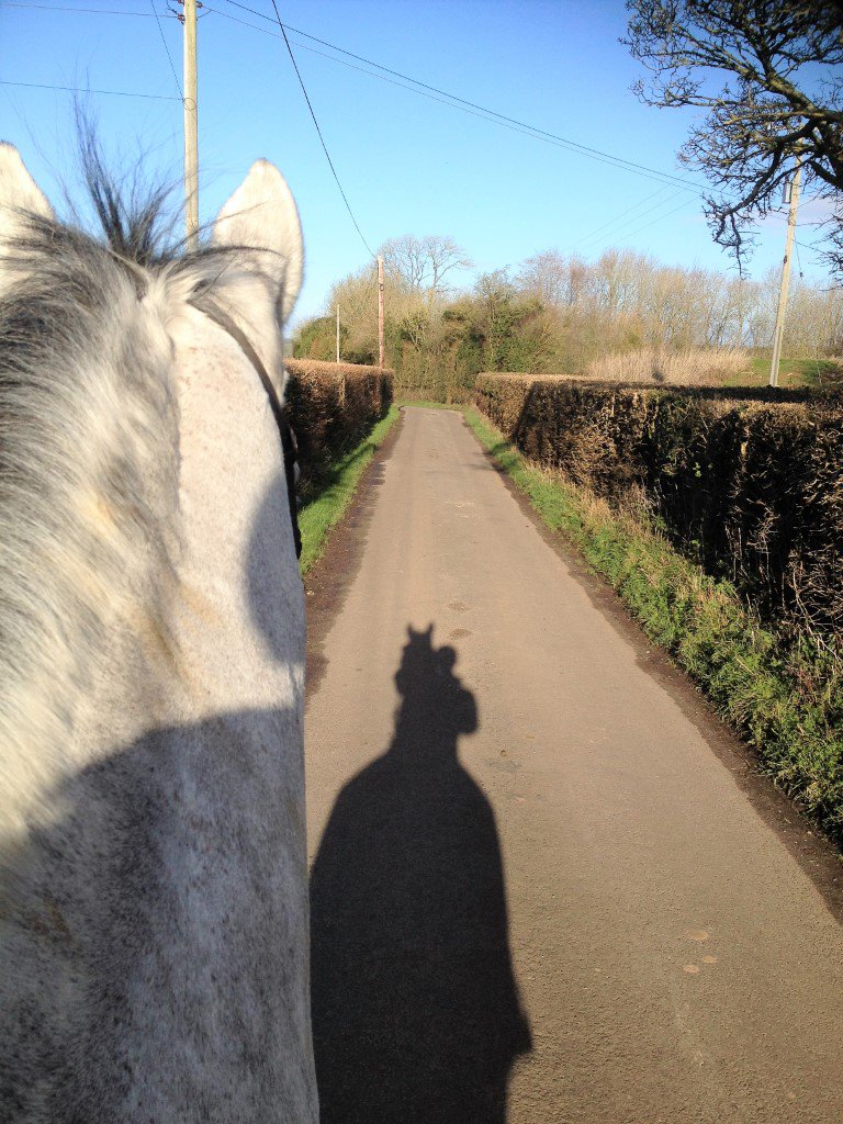 That time when you call your boss to say you'll be late in for work 😊🐴#MondayMotivation #horses #sunnymorning #BlagdonLake #ChewValley #NorthSomerset #MendipHills #toonicetobeinanoffice