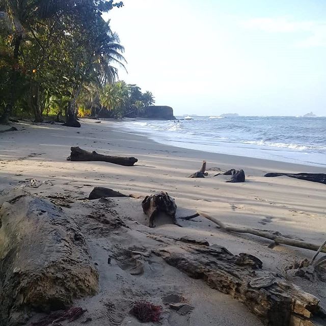 Pavertec's tweet photo. Una semana que inicia y nuevas #esperanzas se renuevan. #explora507 #panama #colon #viajeroSolitario #paverte #vivePanama #jmj2019 #mar #beach #sea #explore #nature #photography https://t.co/WzZFzfDt5X https://t.co/S23tqF4nE2