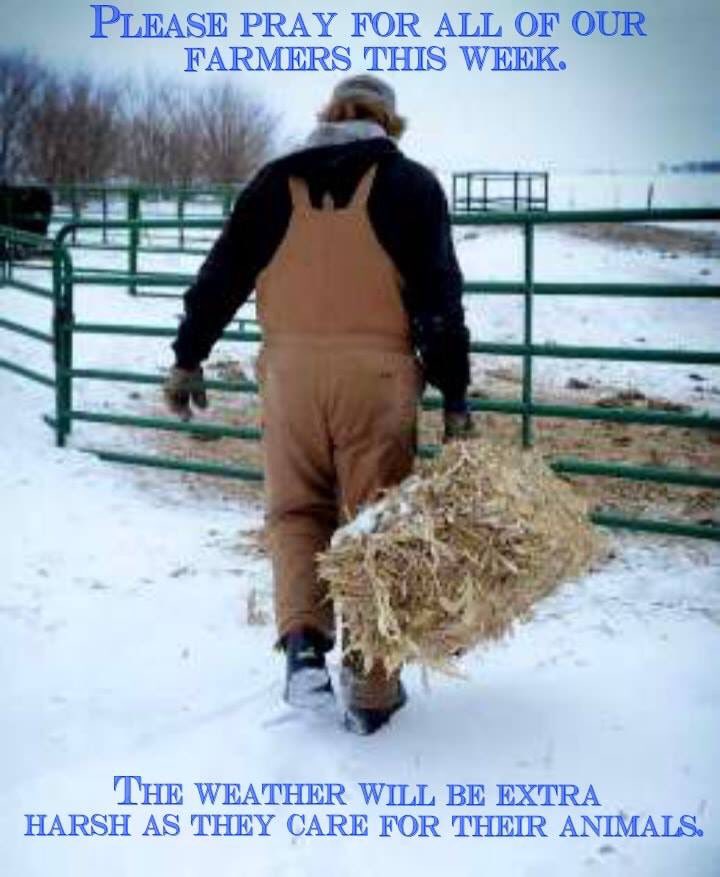 Greg Carpenter tweet media