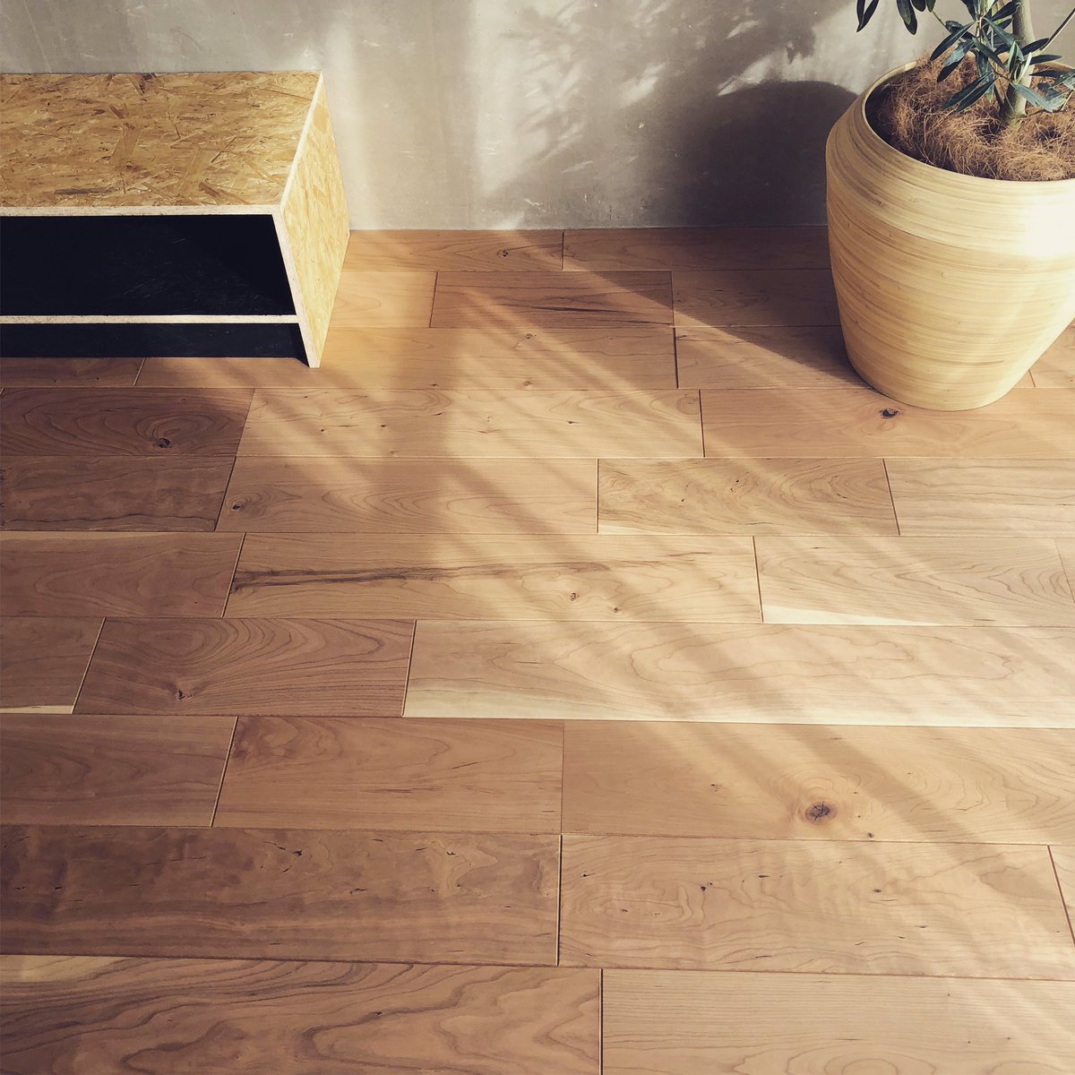 コトハウス ブラックチェリーの床とコンクリートの壁 シンプルだけど差し込む光がキレイにみえます T Co Xwkwmeajag ブラックチェリー イクタ コンクリート 壁 床 光 Architecture 建築 Furniture 家具 Renovation Osb Design