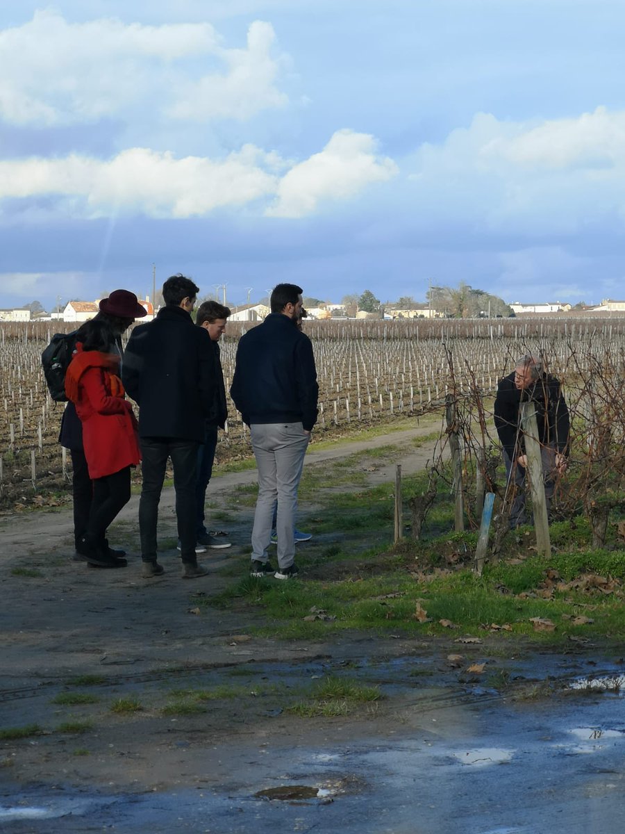 Bordeaux Top Growth tweet media