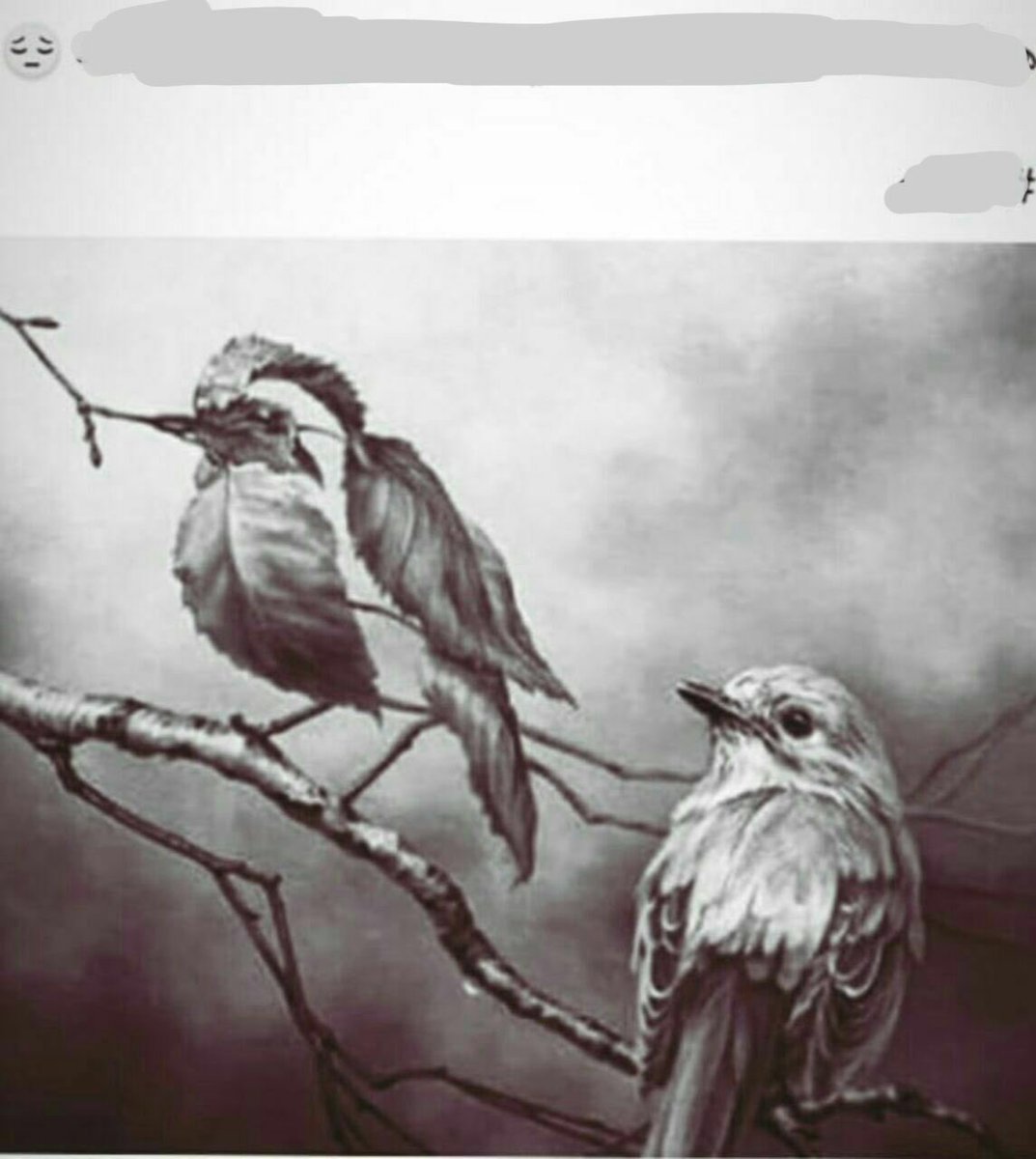 Saktfe11's tweet photo. رسالة الى اخي 🕊

اخي🌷
مع ذلك وقبل ذلك وبعد ذلك
تعوّد قلبي على حفظ العهود لك وصيانة الوعود معك 
فسأحفظ لك عهداً ما بقيت
وأذكر لك وداً ماحييت ولن أتخلى عنك 🌹 https://t.co/1wvh7DiEvV