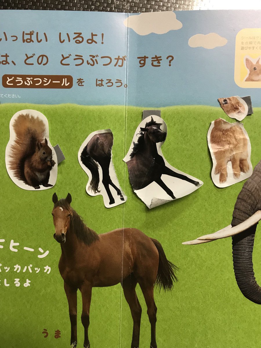 maeharayuki's tweet photo. 小さい子供がシール好きなのは知ってたけど、DMの付録のシールでこんなに楽しんでくれるなんて嬉しいと思いながら洗い物してたら、楽しみ方が人と違った…。結構斬新な楽しみ方をされている我が子😂 https://t.co/89SIRtlt0v