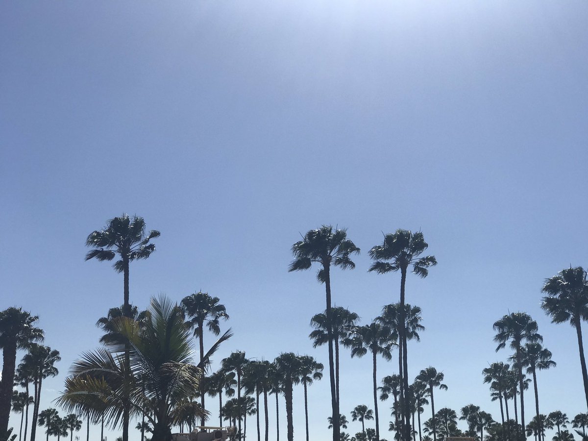 Ramon_SuarezO's tweet photo. Día espectacular hoy lunes en #Maspalomas #MaspalomasCostaCanaria #Turismo @AytoSBT @Maspalomas #GranCanaria #IslasCanarias @spain @Turespana_ @AMTSolyPlaya #AMTC #Canarias @jlgaliacho @manuelcerdan @fehtlaspalmas @UNWTO @ForoMaspalomas @ULPGC @fehtlaspalmas @JuanjoMorenoEsp https://t.co/orhVVJeRwc