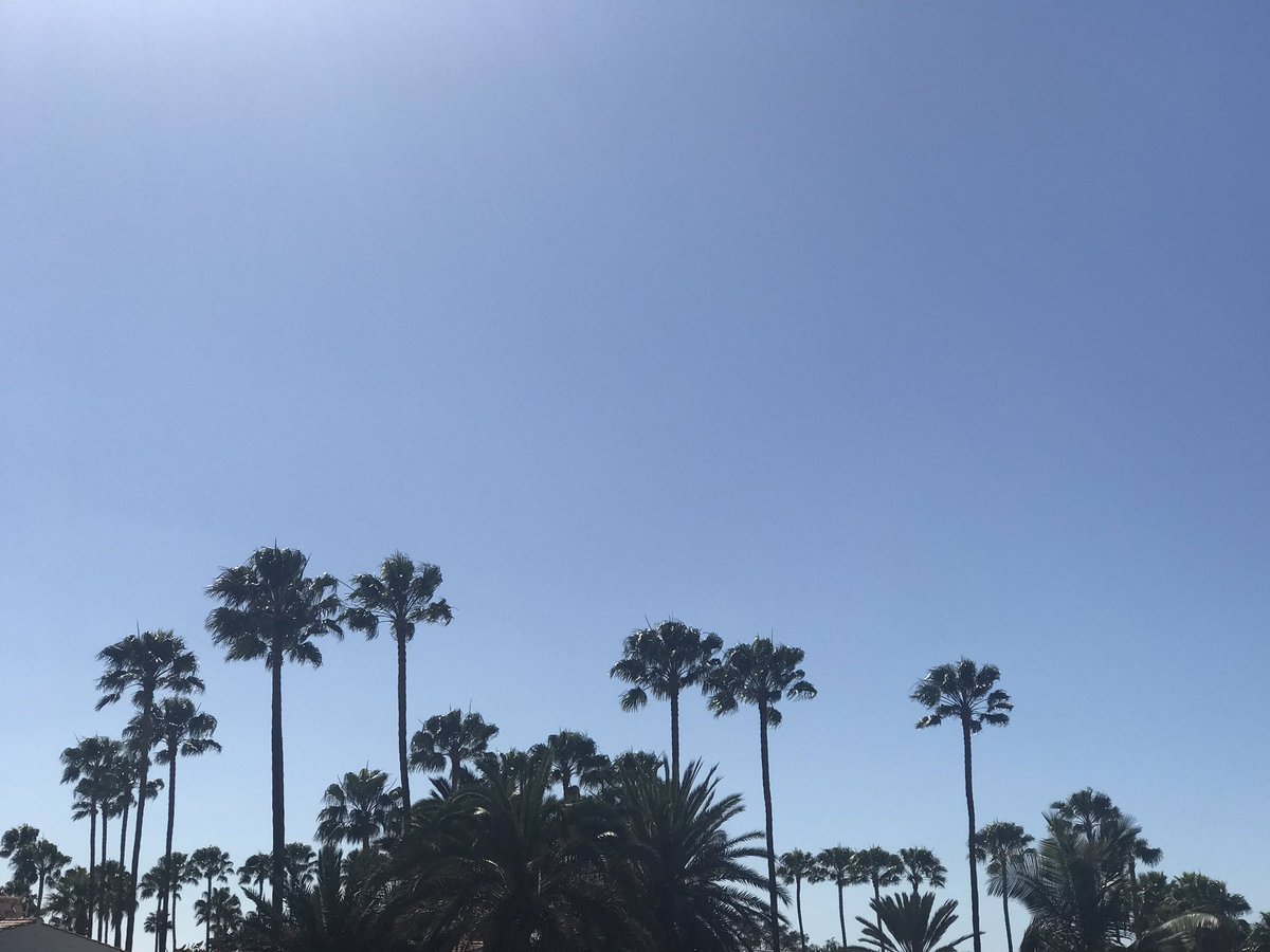 Ramon_SuarezO's tweet photo. Día espectacular hoy lunes en #Maspalomas #MaspalomasCostaCanaria #Turismo @AytoSBT @Maspalomas #GranCanaria #IslasCanarias @spain @Turespana_ @AMTSolyPlaya #AMTC #Canarias @jlgaliacho @manuelcerdan @fehtlaspalmas @UNWTO @ForoMaspalomas @ULPGC @fehtlaspalmas @JuanjoMorenoEsp https://t.co/orhVVJeRwc
