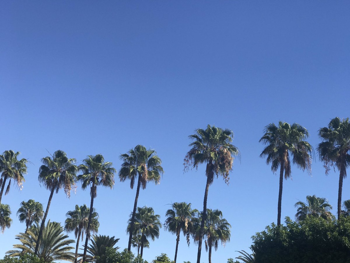 Ramon_SuarezO's tweet photo. Día espectacular hoy lunes en #Maspalomas #MaspalomasCostaCanaria #Turismo @AytoSBT @Maspalomas #GranCanaria #IslasCanarias @spain @Turespana_ @AMTSolyPlaya #AMTC #Canarias @jlgaliacho @manuelcerdan @fehtlaspalmas @UNWTO @ForoMaspalomas @ULPGC @fehtlaspalmas @JuanjoMorenoEsp https://t.co/orhVVJeRwc