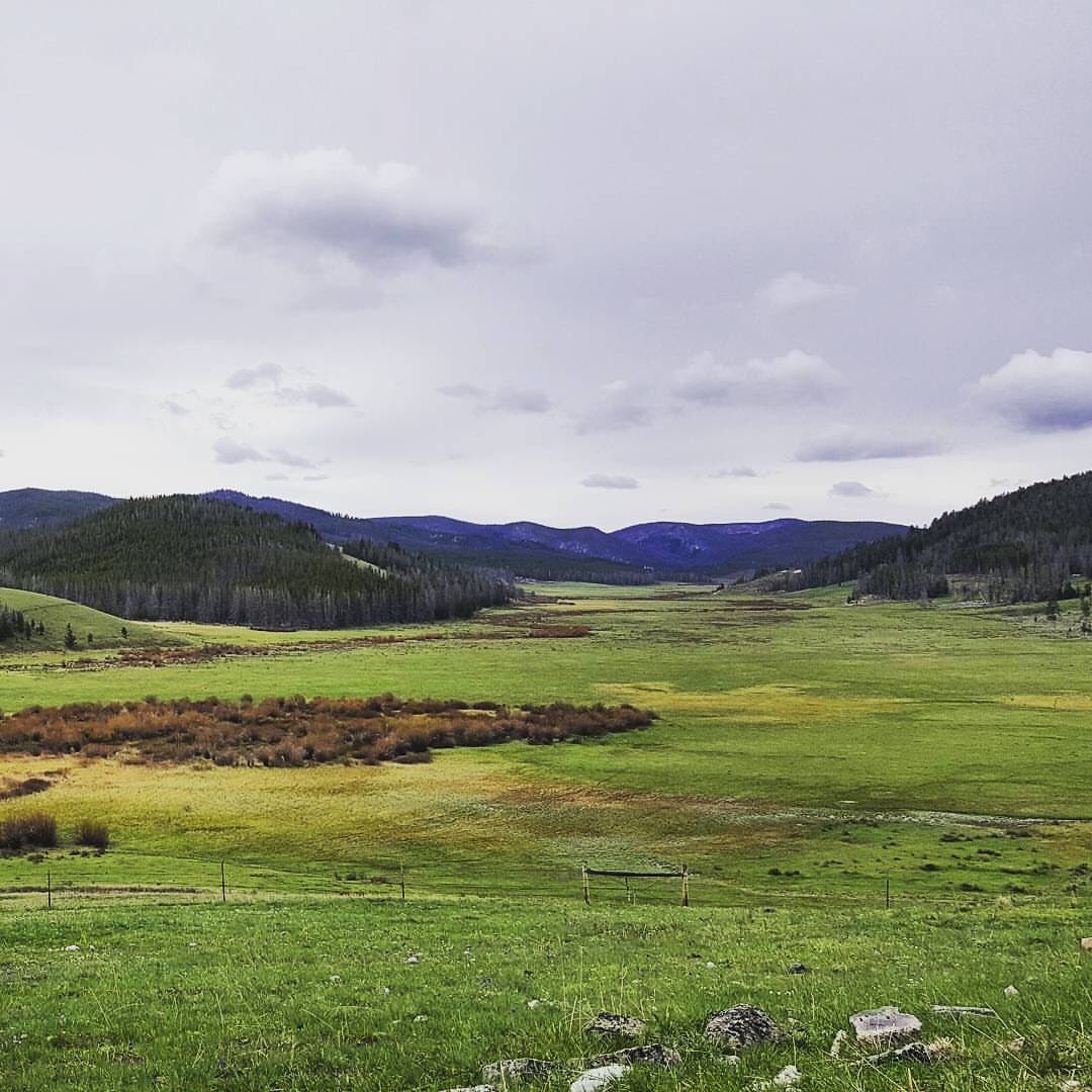 🔆Protected in 2018🔆

705 acres of high quality wildlife habitat at the headwaters of the Boulder River in Jefferson County.🦉🦌🦊🏞 #forevermontana #wideopenspaces #highqualitylandowners