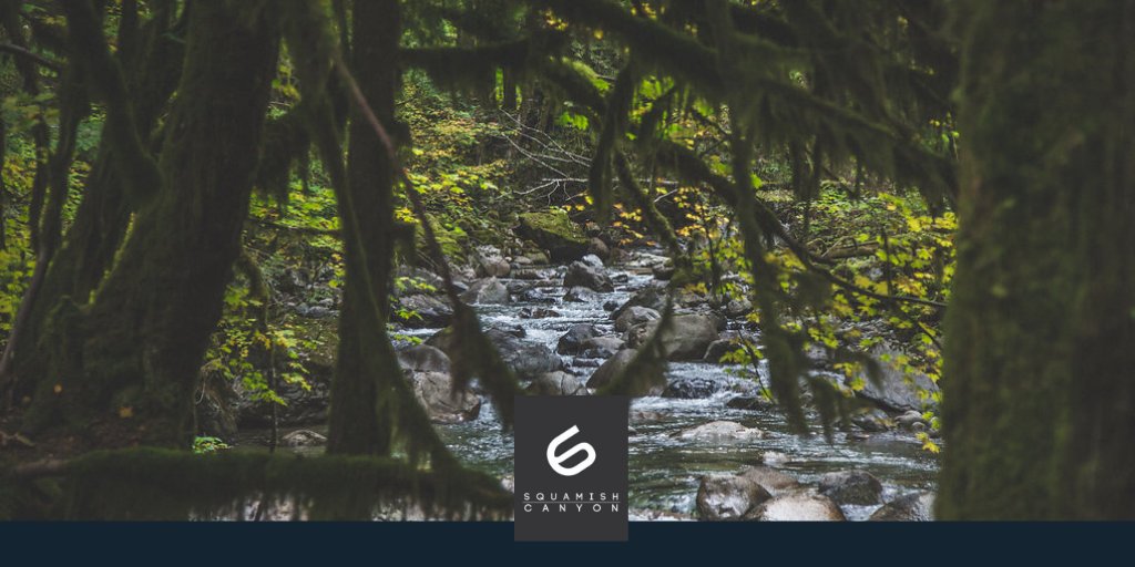 At Squamish Canyon you can listen to the sounds of the forest and the tones of water rushing through the canyon. Our visitors will learn how the trees are healthy for us and how our forest and rivers work together and communicate. 

Photo by Jess Butler