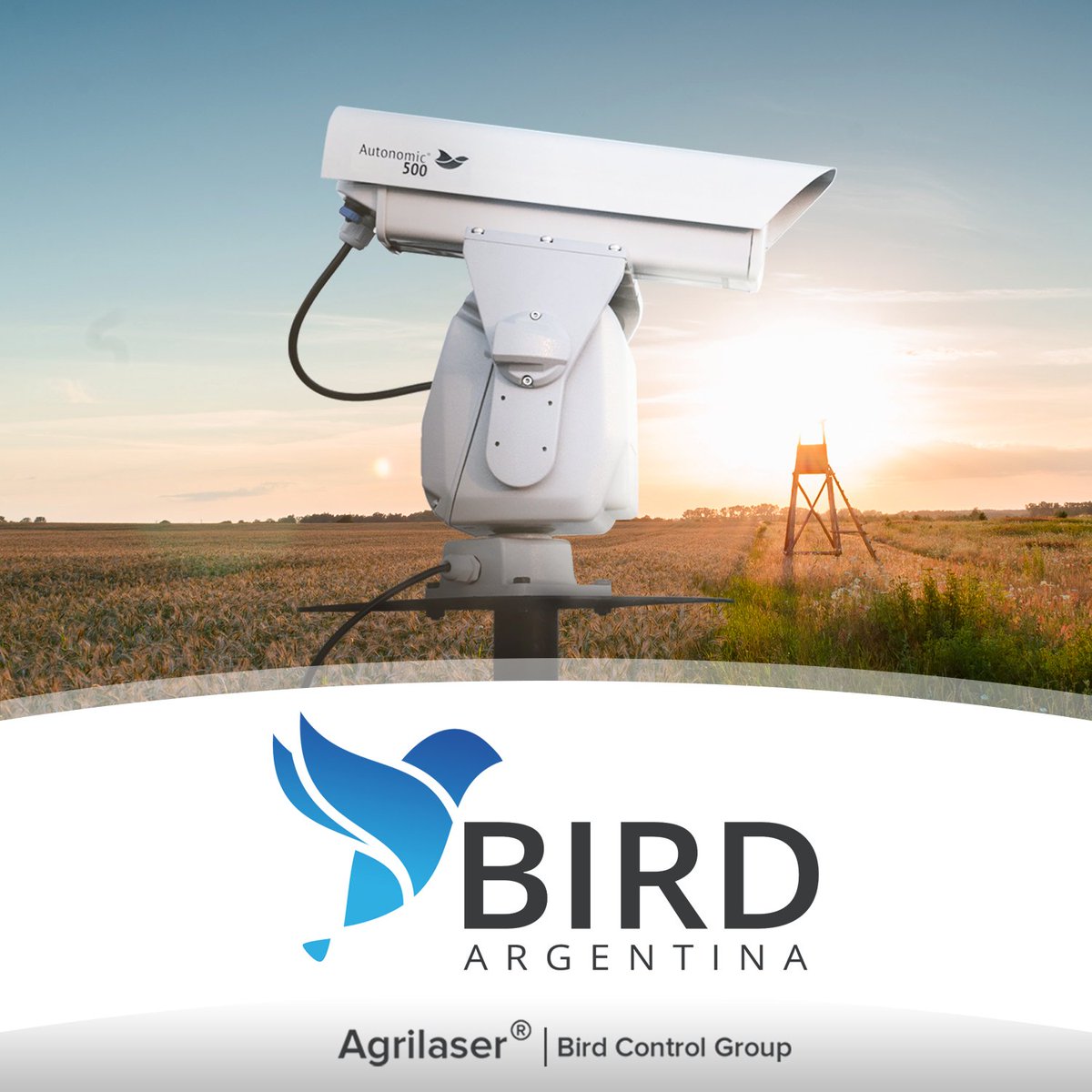 Bird Argentina (@Bird_Argentina) / Posts / X