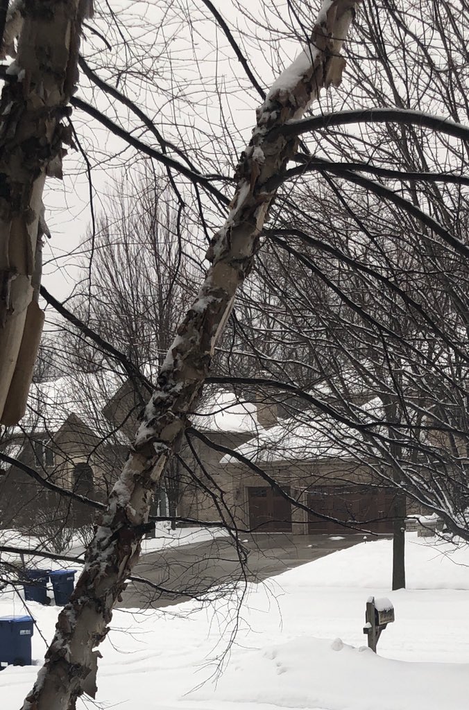 nblanken's tweet image. When your neighbor installs electric heating coils under their driveway while the rest of us try to unbury ourselves from 8 inches of snow overnight. Seriously jealous right now. #lovethyneighbor #notsomuch