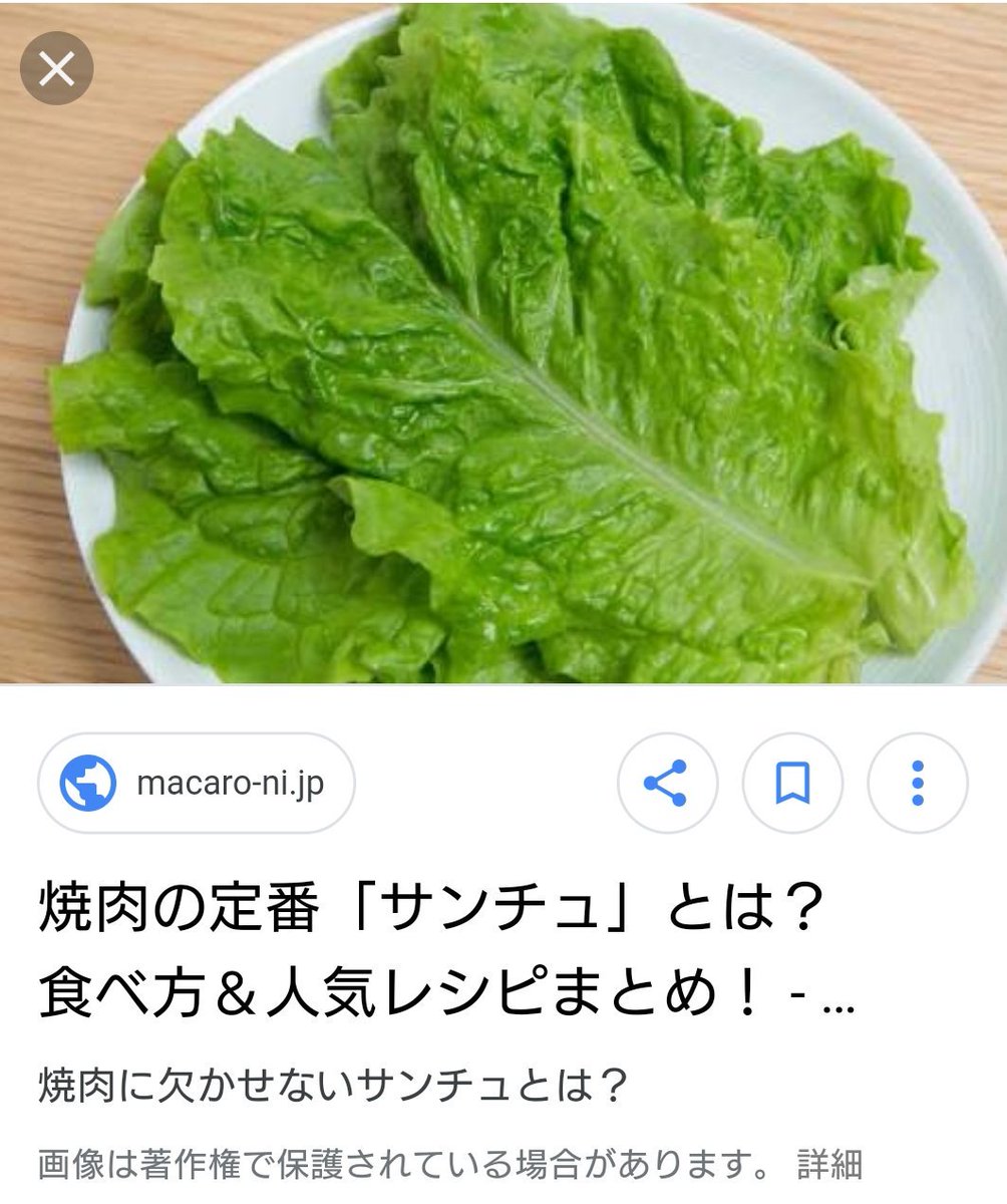 Kuromame A Twitter 焼肉の時に肉と一緒に挟んで食べる葉っぱについて ぎ なんて言うんだっけ サンチェ く サンチョでしょ ぎ え サンチェでしょ く 自信なくなる 助けてgoogle先生 く 二人とも違うよ