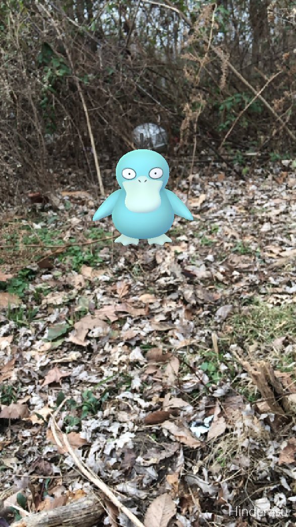 randy_arena's tweet photo. Guess who I found?
#FoundPsyduck #Pokemongo https://t.co/RjfT2ryZjH