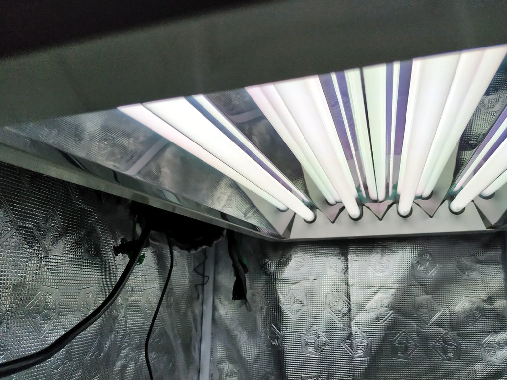 Green Test tweet media