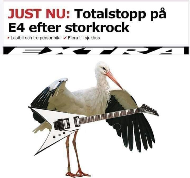 EfraimLarsson's tweet photo. Varför tycker jag att det här är på tok för kul? https://t.co/urG8GavMBz