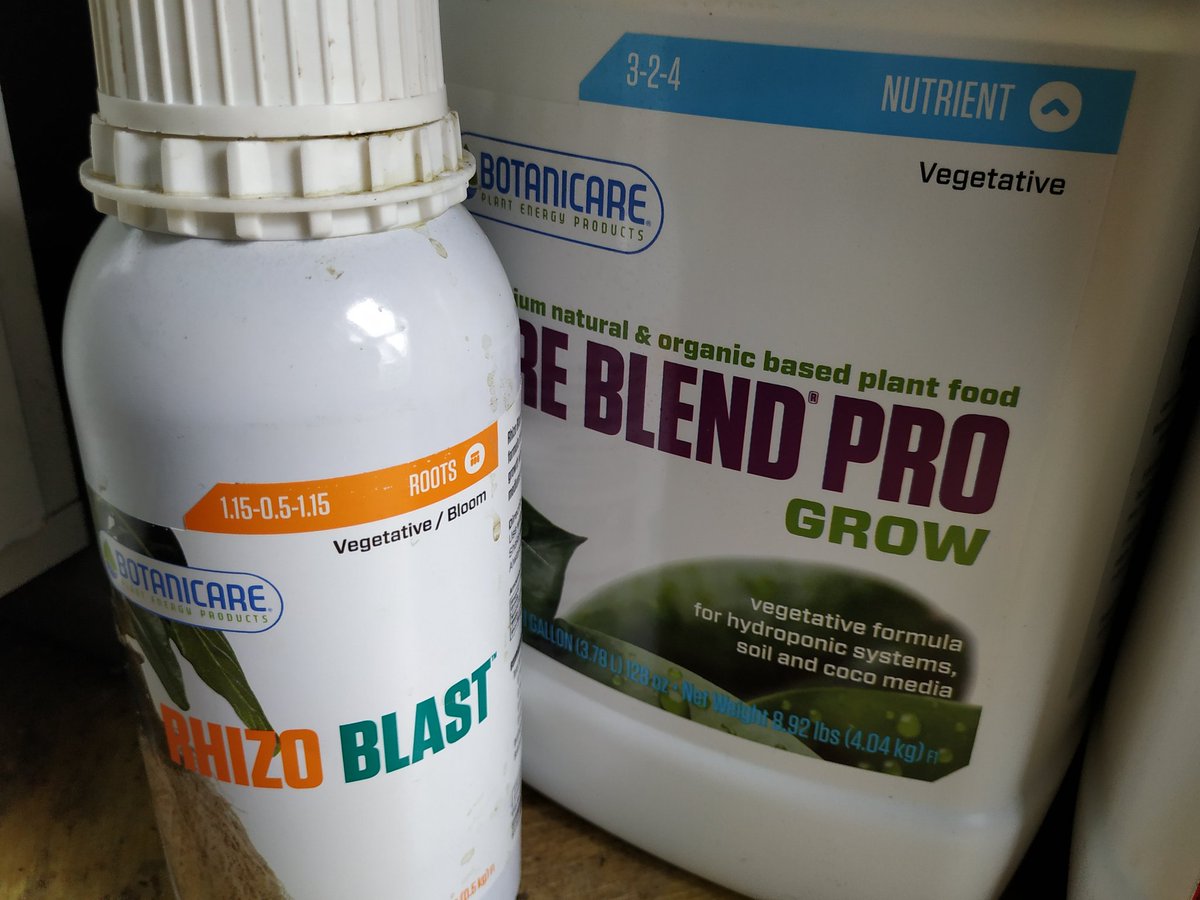 Green Test tweet media