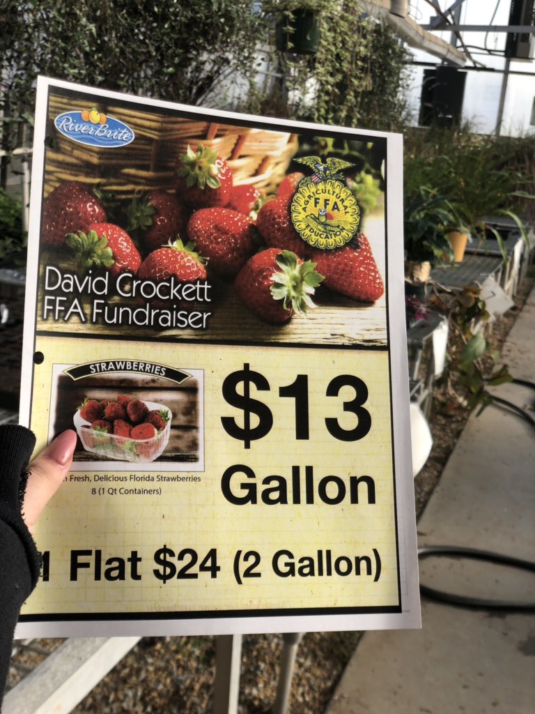 David Crockett FFA tweet media