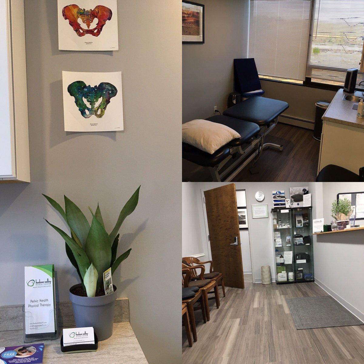 HudsonValleyPT's tweet photo. We have finally moved into our new space! Visit https://t.co/knfqiV4Xmh for more information on our services for men and women

#pelvicpt #pelvicfloor #pelvichealth #healthypelvis #physicaltherapy #menshealth #womenshealth #loveyourpelvis #pelvicpain #pregnancy #postpartum https://t.co/oYI4My2T9d