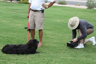 keithyaskin's tweet photo. Having a dog around adds fun to the workday!
#NationalFunatWorkDay 
#videoproduction #dog https://t.co/XZrxdAZU1d