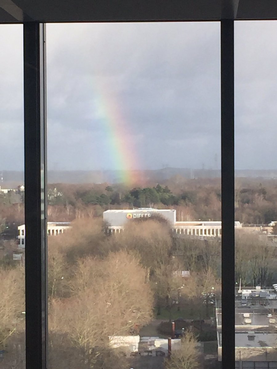 Robert AL tweet media