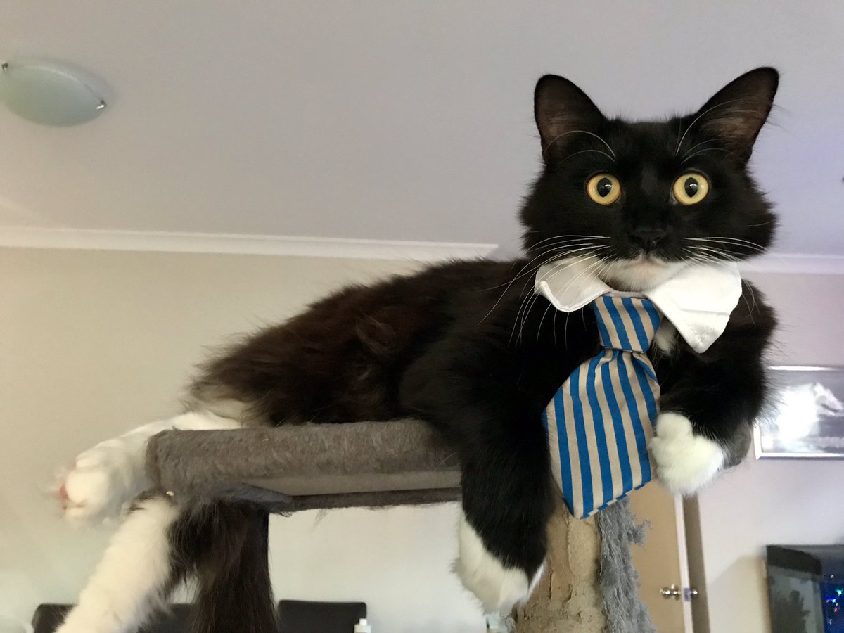 When everyone stays home but you have to go back to work after a long weekend #datface #demfeels #amber