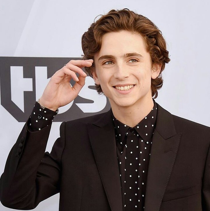 LITTLETR0YE's tweet photo. Apreciemos la perfección de Timothée Chalamet, ¿Es real? https://t.co/8Ly1mTimT4