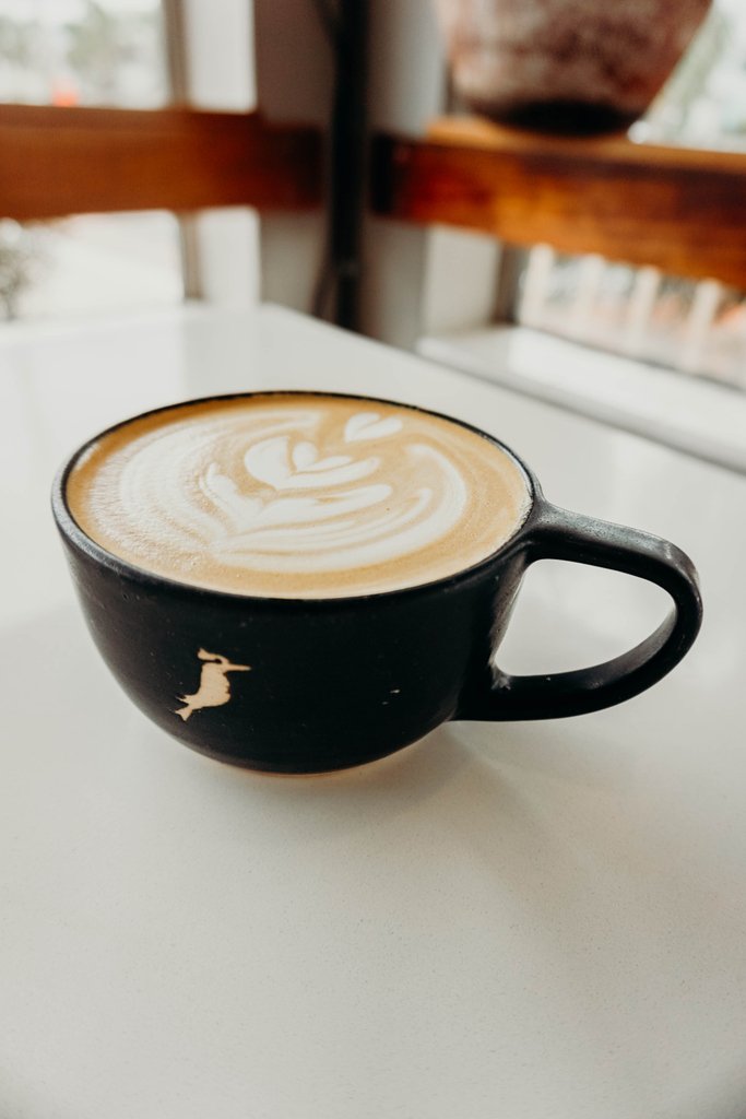 The_Kookaburra's tweet photo. It may be a little cold for us Floridians, but we have all of the right drinks to warm you up! Happy Monday!π
-
πΈ@evergoldphotography
-
#thekookaburra #specialtycoffee #thirdwavecoffee #coffee #espresso #latte #coffeeculture #kooksonly https://t.co/tTv5mRSGBP