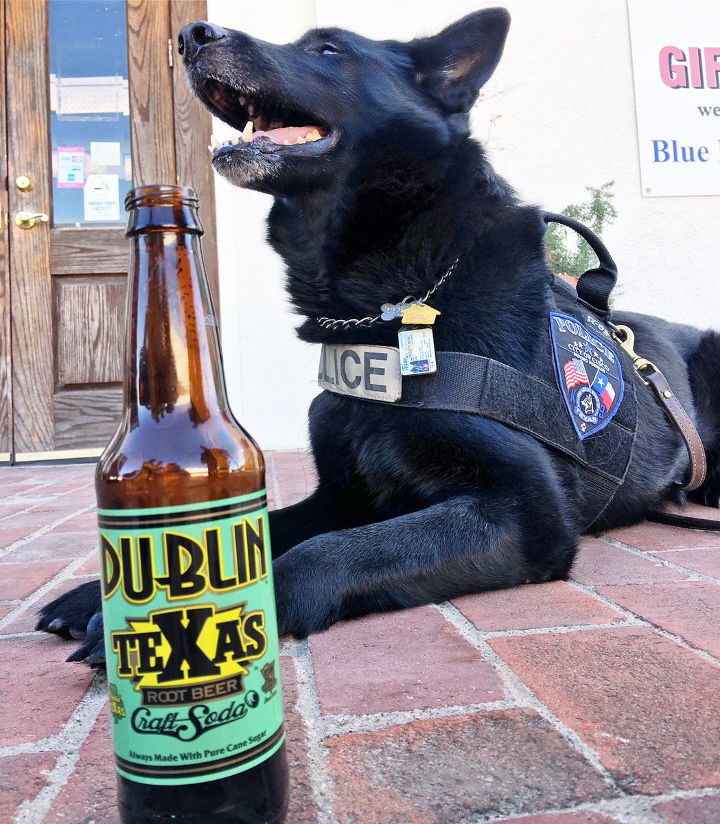 Niki is the Chief of Police in Cisco &amp; came for a visit over the weekend to get his human some TeXas Root Beer! Such a good boy. #dublinsoda
