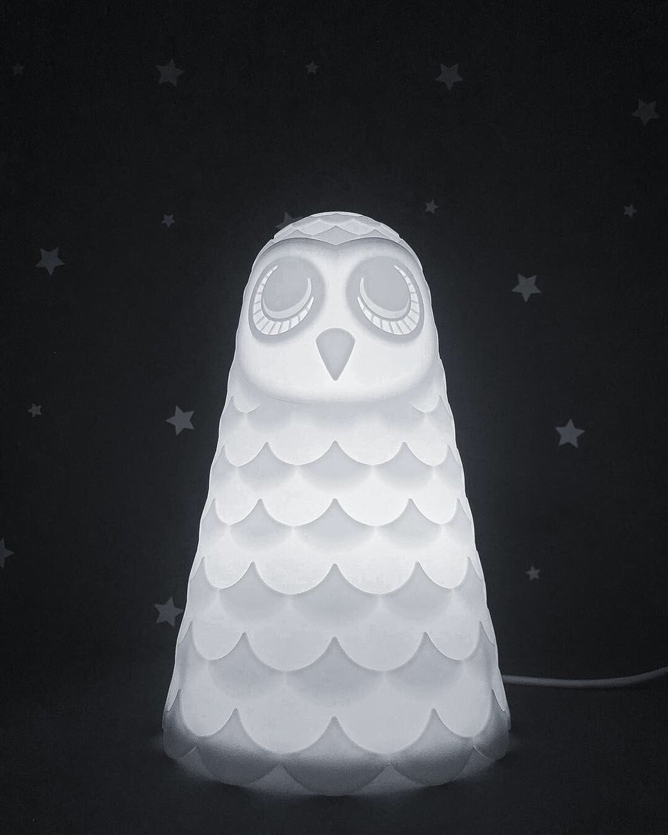 Wakey Owl 🦉 
#MentalPictures #1IN2 #Lamp #Photography #LampDesign