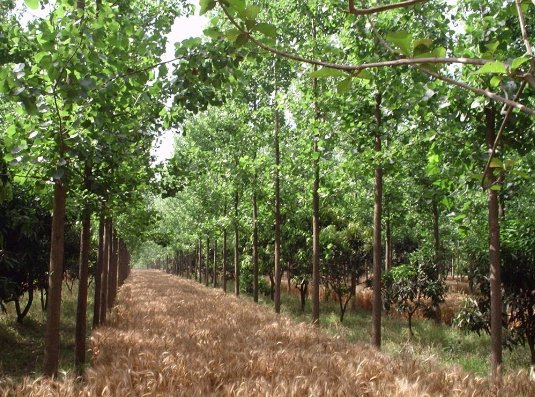 planetic's tweet photo. Appel à candidatures pour incuber au @planetic Lab des entrepreneurs sociaux en émergence dans l'Agroécologie &amp; l'Alimentation durable ! https://t.co/JvoBR8eI0r https://t.co/8KHHy7fkuc