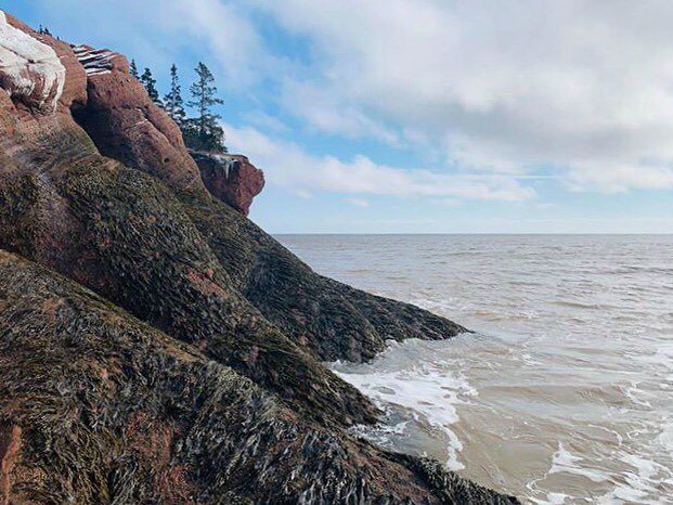 CBCNB's tweet photo. Beautiful St. Martins, captured by Anna Maria Filipiak during the weekend. Thanks for the photo.
.
.
.
#mycbcnb #stmartins #newbrunswick #viewsnb #gameoftones #landscape #discovernb #beautifulnewbrunswick #ilovenb #rocks #naturephotography https://t.co/1dlZnfkUC0 https://t.co/dKRyrOuETw