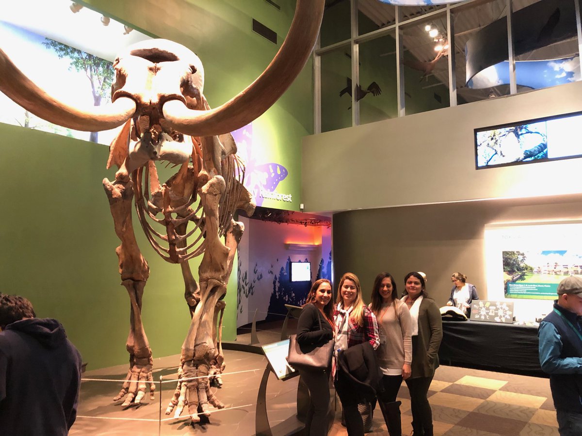 RKBBHK8's tweet photo. BOBCATS RECEIVING HANDS ON LEARNING AT THE UF SCIENCE LABS - THANK YOU GATORS!! https://t.co/fnFiodSr0w