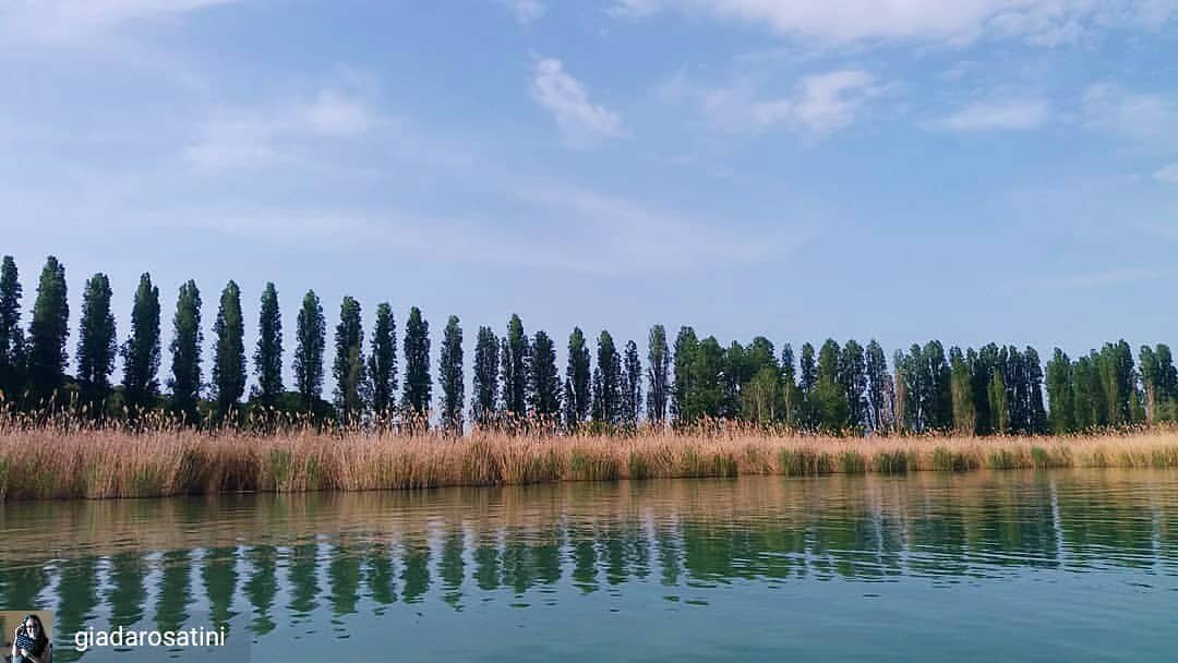 Isola_Polvese's tweet photo. from @giadarosatini - “La Terra è arte, il fotografo è solo un testimone.” {Yann Arthus- Bertrand}
. #paesaggio #ceaisolapolvese #isolapolvese #trasimeno #umbria #natura #biodiversità #aulaverde #polvese #education #educazioneambientale #centroeducazioneambientale #slowtourism https://t.co/JBnbF8XdFw