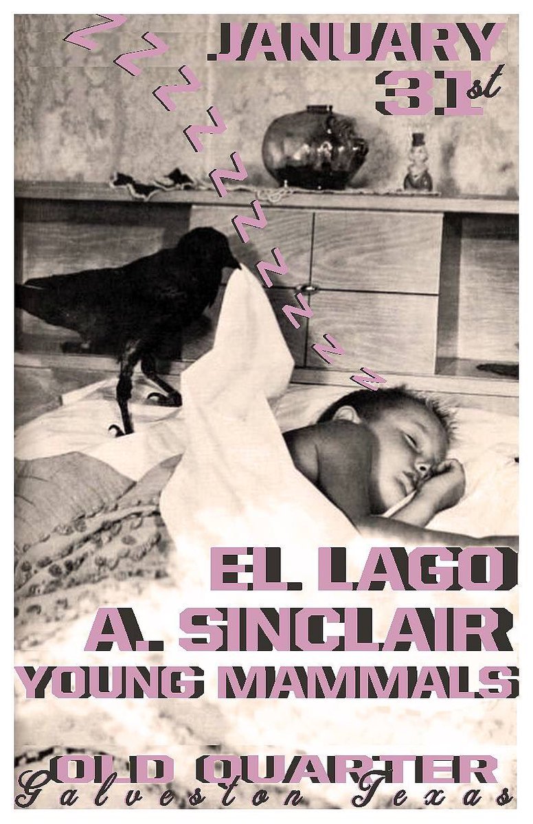 Hitting a little road with <a href="/asinclairmusic/">A. Sinclair</a>! Catch us in Galveston + Houston first with <a href="/YoungMammals/">young mammals</a>. 🤗

🐚🔜
1/31 ➊ Galveston
2/1 ➋ Houston
2/2 ➌ Austin