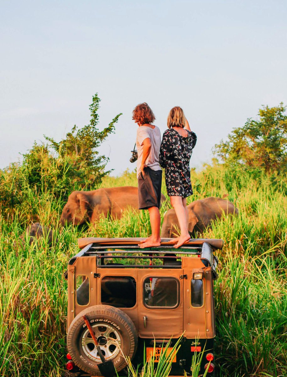 It's the destination of the year for a reason! 12 Very Best Things To Do In Sri Lanka: ow.ly/qbVv30ntzGD 

#SriLanka #travel #travelbloggers