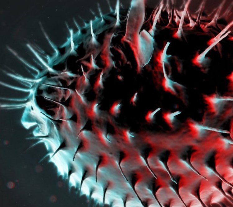 Thank you very very very much to <a href="/ace__london/">Arts Council England, London</a> <a href="/ace_national/">Arts Council England</a> for supporting the searing <a href="/PufferfishPlay/">Pufferfish by Nick Bruckman</a> by <a href="/nickbruckman/">Nick Bruckman</a> directed by #NgChoonPing @VAULTFestival. Sooo damn excited. BRRRRAP!!!