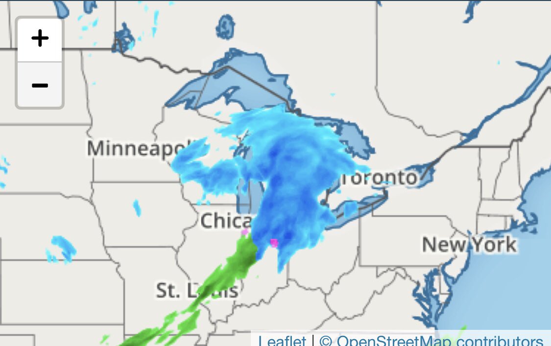 Bates07Sam's tweet image. Winter Storm Jayden wiped Michigan clear off the map.