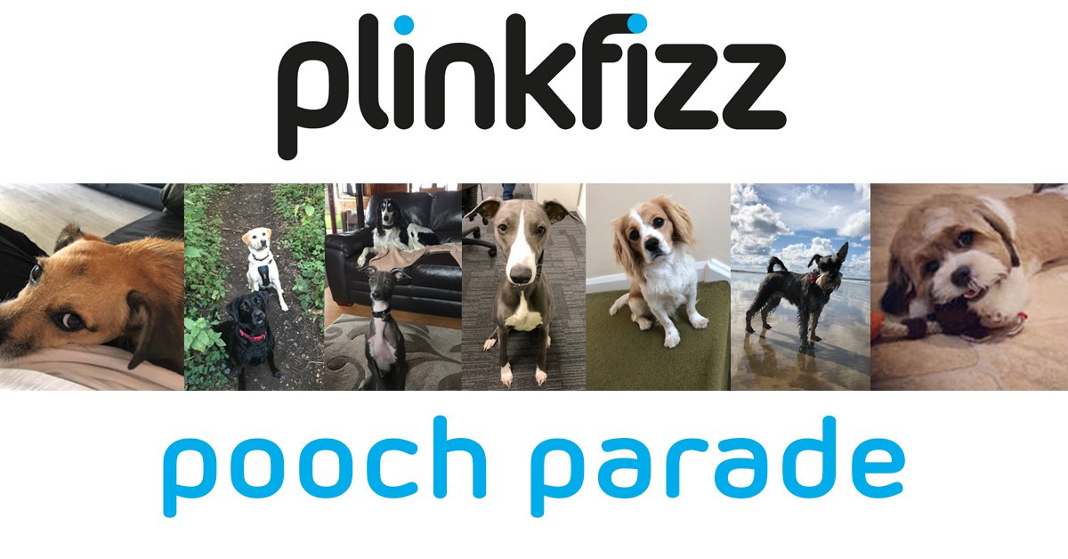 Scuppered by high winds and storms last October, the Plinkfizz Pooch Parade in aid of The City Dogs Home will now go ahead on Saturday 16 March - full details at plinkfizz.com/blog/2019/01/p…

#CityDogsHome #charity #Donations