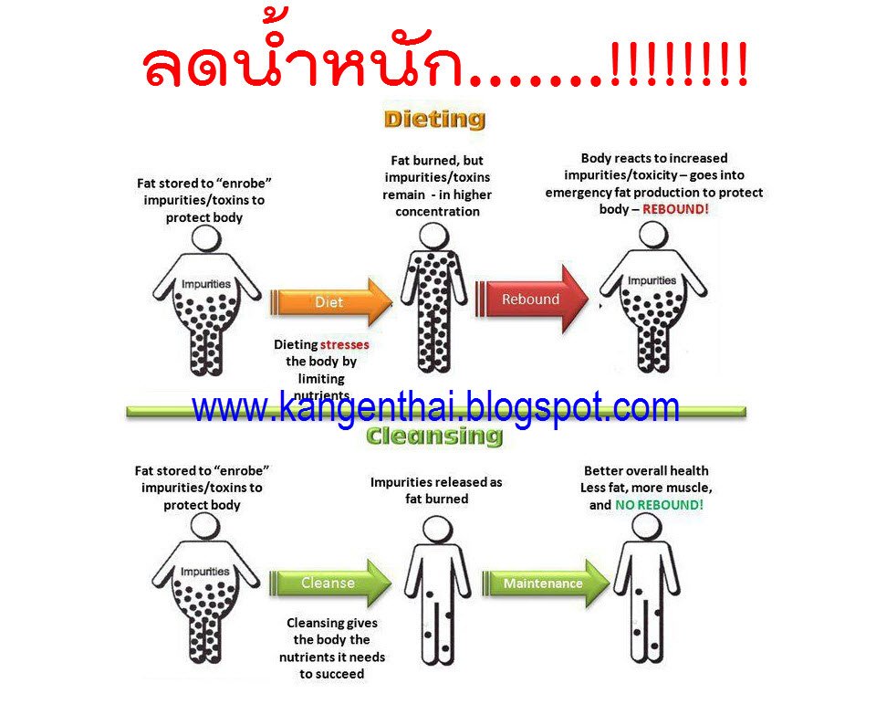 Kangen Water @Kangenthai tweet media