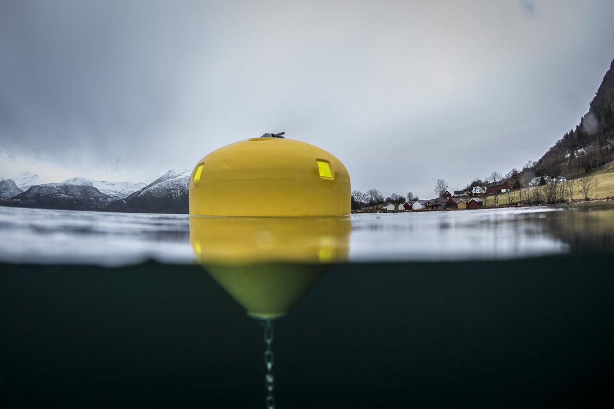 Some fantastic images from our key partner Polyform #aquaculture #buoys #mooringbuoys