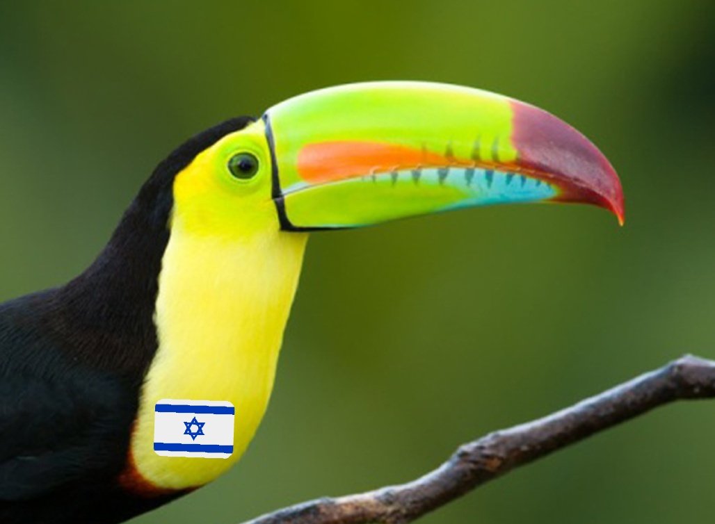 euro_hater's tweet image. Welcome to KAN
Bienvenido tucán (para los que no sepan inglés)
#AllocationDraw