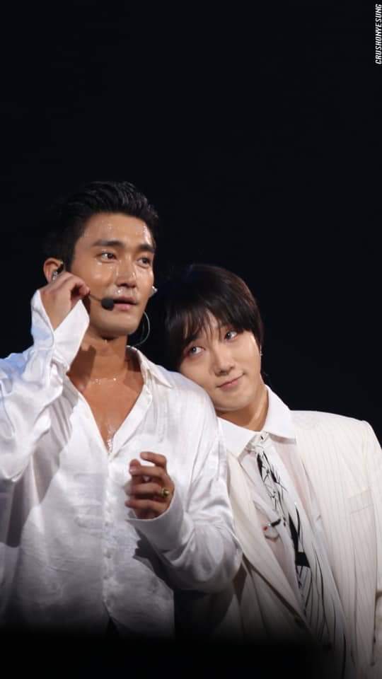nhihyun206's tweet photo. Mày lại sống sai với bản thân quá rồi...
#ELFLoveOurKingSJ
#ELFsupportLEETEUK
#ApologizeToLeeteuk
#선배아티스트에게_사이버불링_사과해
#Apologize_for_the_truth https://t.co/RQHCnIFmgX