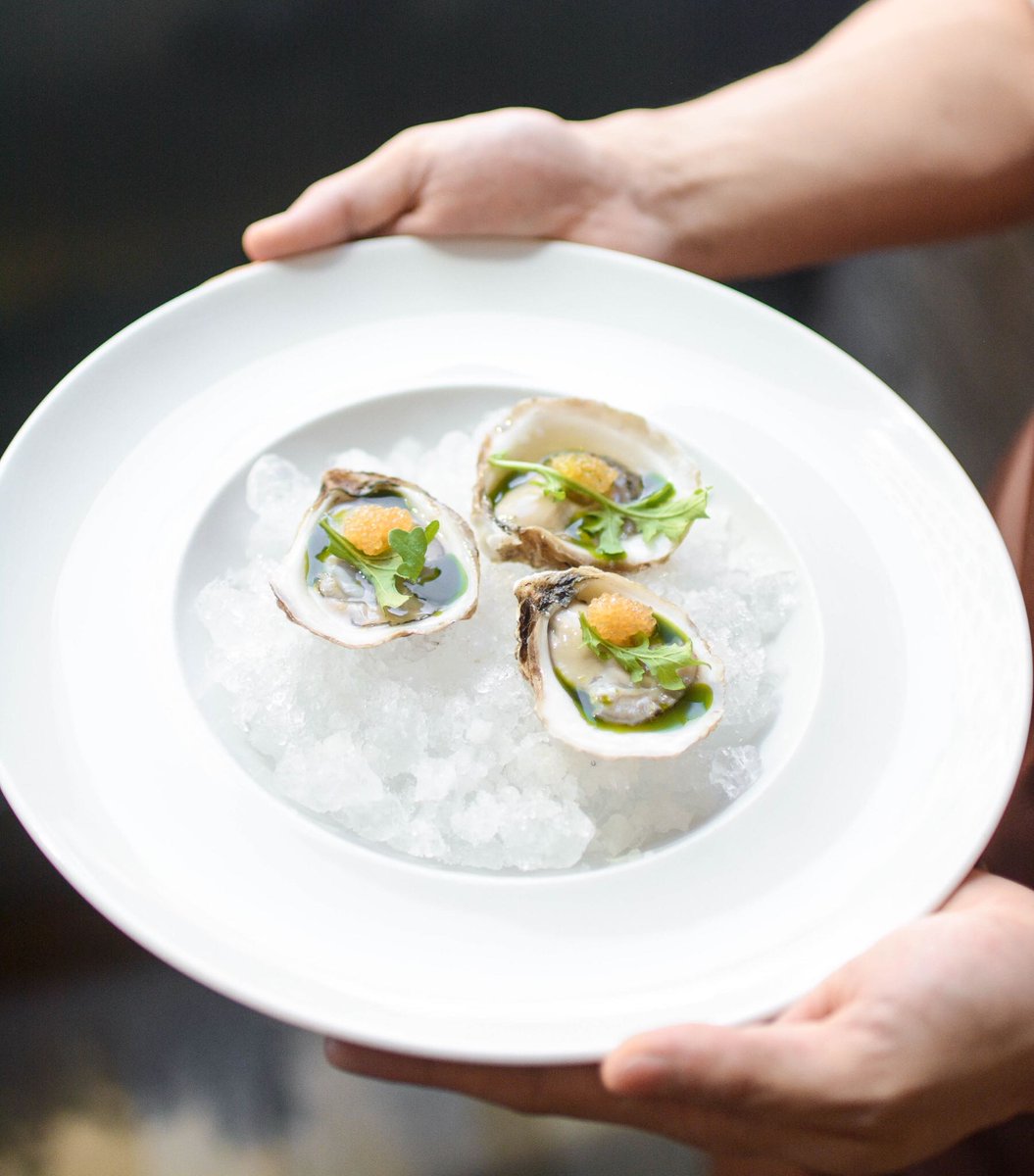 Ostriche Crudo ~ Eel Lake oysters from Nova Scotia sourced from <a href="/hookedinc/">Hooked Inc.</a>,  Fisherville Greenhouse arugula, preserved lemon, white fish roe &amp; 40-year barrel-aged red wine vinegar. Available on our lunch and dinner menu. #Yorkville