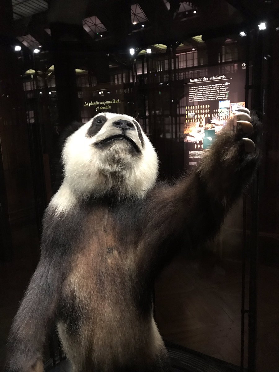 NLepouder's tweet photo. Grande Galerie de l’évolution, explique moi la biodiversité !
#sllpnd #parente #biodiversite #tweeteTsvt https://t.co/Pb51jYQB4W