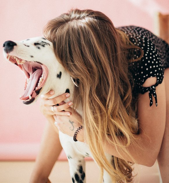 RevistaTu_Chile's tweet photo. ¿Cuál es tu mascota ideal?
¿Estás pensando en tener un animalito de compañía? Primero descubre cuál es el correcto y el que va con tu personalidad, según tu signo zodiacal. https://t.co/GMbAze9gOl https://t.co/6DFOwONT3U
