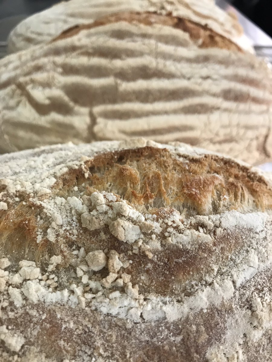 Snow forecast.... Baking our sourdough fresh every day at ELY BAR &amp; GRILL.