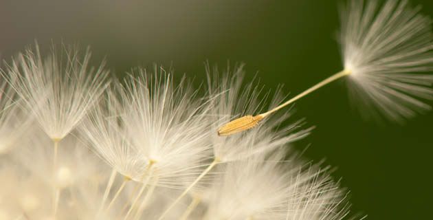 CJBIPVentures's tweet image. Gartner recently published a market guide for Strategy Execution Management Software and AchieveIt is featured in this select group of SEM software!  buff.ly/2FN9aNL #SEM #SEMsoftware #strategicplanning @GoAchieveIt @Gartner_inc