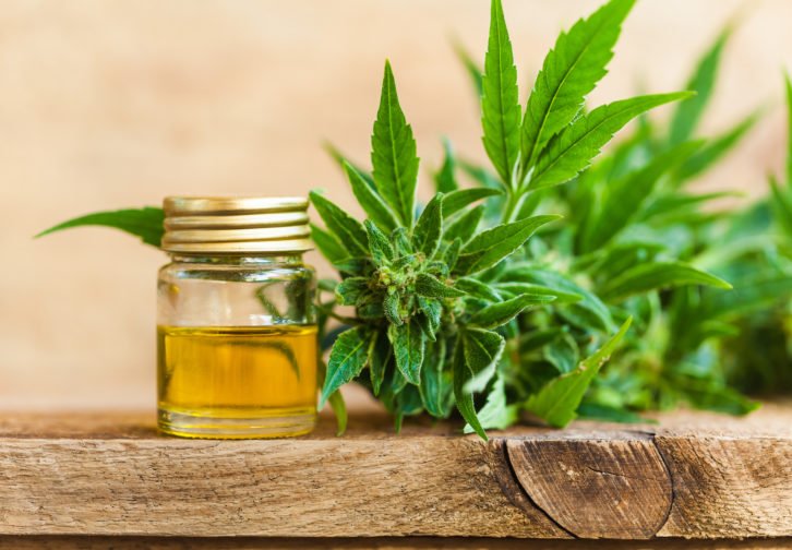 CandaceGina's tweet photo. What to Know About Using CBD at Your Business https://t.co/wPRw3btwQC via @NCRSilver https://t.co/7iyuRLbMSj