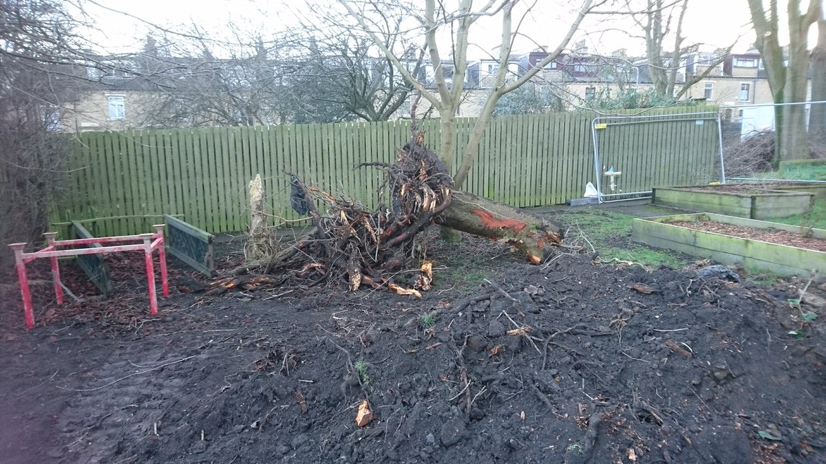 warmtheheartbd5's tweet photo. The base got concreted last week, but a casualty of the new heating system is the Hinton's "favourite tree" that had to be removed to make way. But we will replace it. Still sad, but exciting pipes are being laid this week, and inside works start. https://t.co/peNkOfB1rn